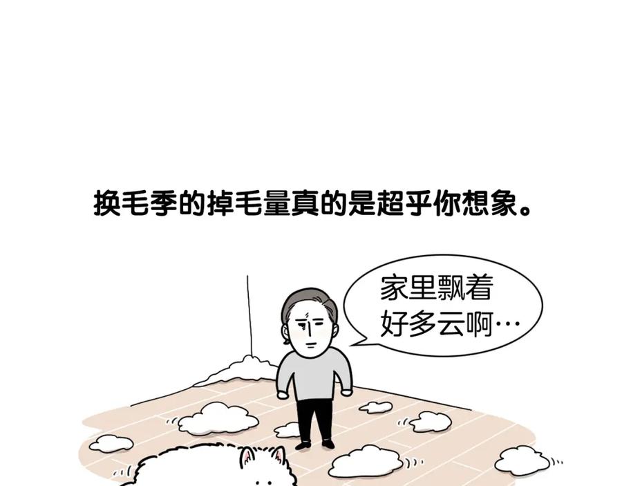 第1话掉毛大王-我的狗子叫棉花-milo+Polarfox（第10张）