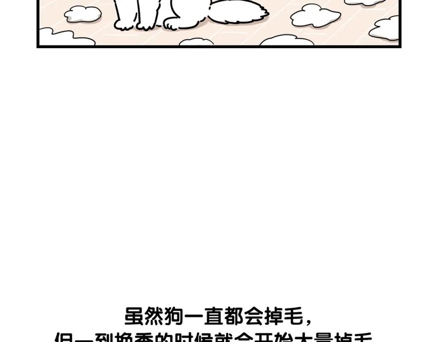 第1话掉毛大王-我的狗子叫棉花-milo+Polarfox（第8张）