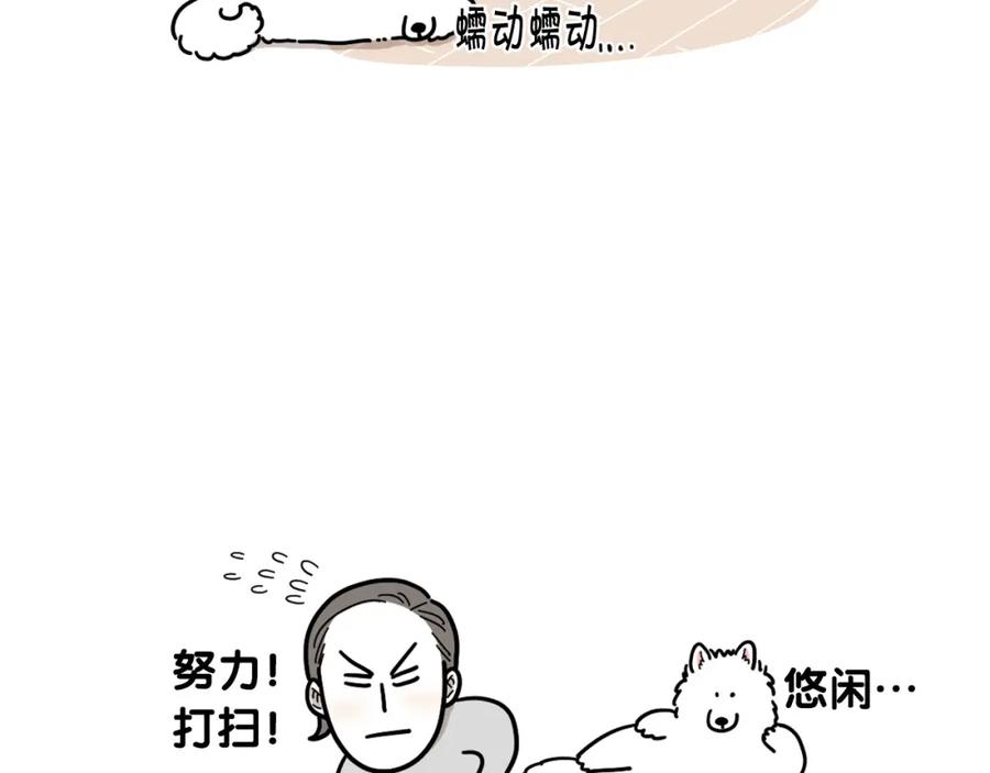 第1话掉毛大王-我的狗子叫棉花-milo+Polarfox（第11张）