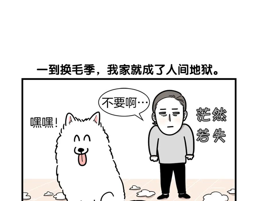 第1话掉毛大王-我的狗子叫棉花-milo+Polarfox（第7张）