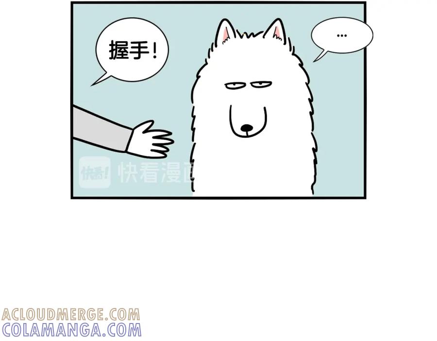 第2话训练狗子-我的狗子叫棉花-milo+Polarfox（第6张）