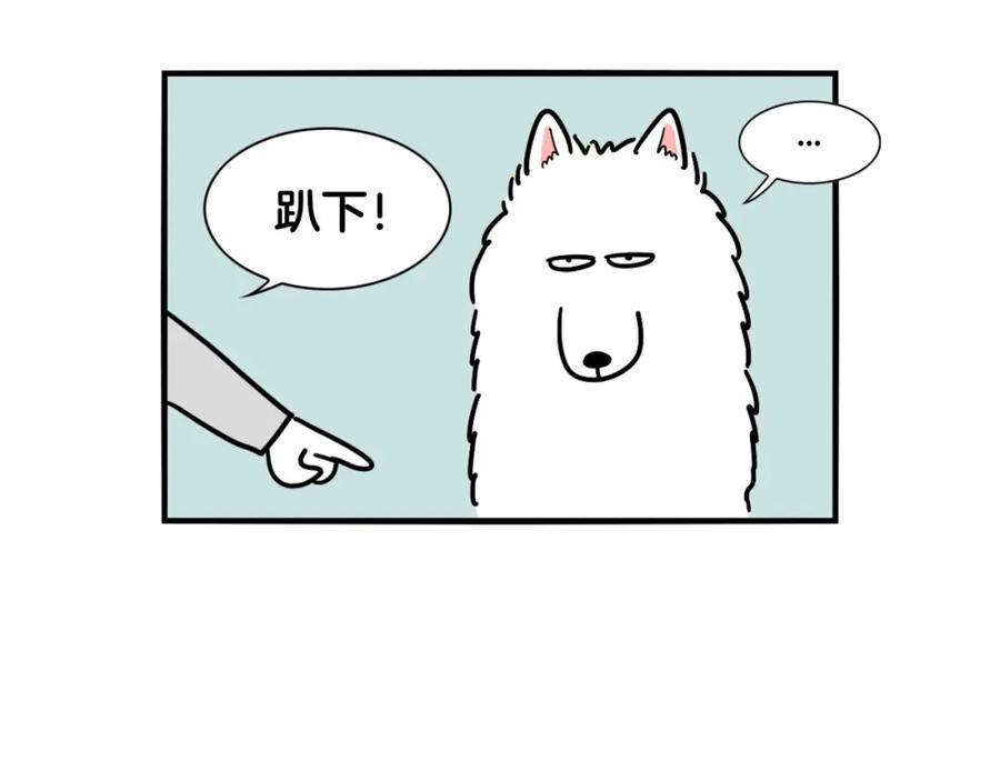 第2话训练狗子-我的狗子叫棉花-milo+Polarfox（第8张）