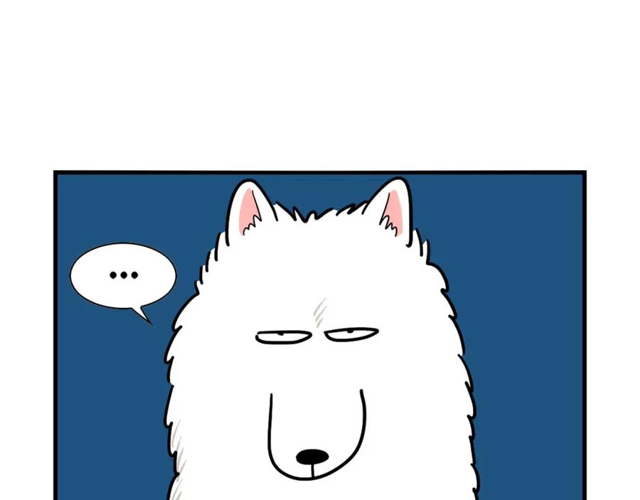 第2话训练狗子-我的狗子叫棉花-milo+Polarfox（第11张）