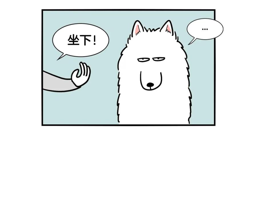 第2话训练狗子-我的狗子叫棉花-milo+Polarfox（第7张）