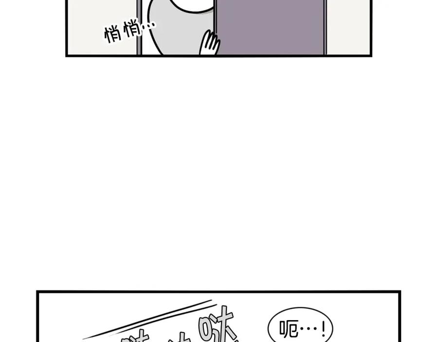 第3话热烈迎你回家！-我的狗子叫棉花-milo+Polarfox（第6张）