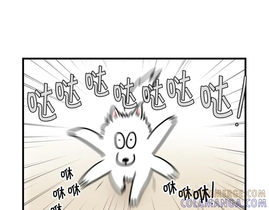 第3话热烈迎你回家！-我的狗子叫棉花-milo+Polarfox（第8张）