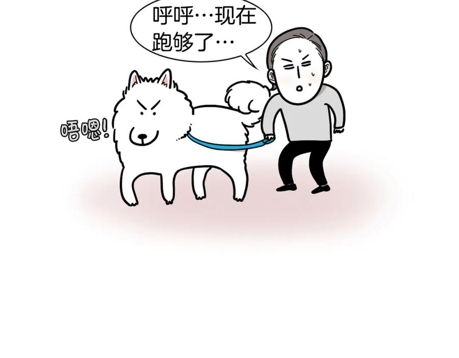 第4话训练狗狗大作战！-我的狗子叫棉花-milo+Polarfox（第7张）