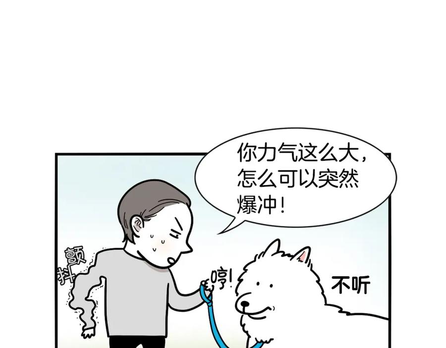 第4话训练狗狗大作战！-我的狗子叫棉花-milo+Polarfox（第10张）