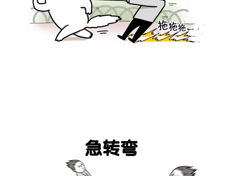 第4话训练狗狗大作战！-我的狗子叫棉花-milo+Polarfox（第5张）