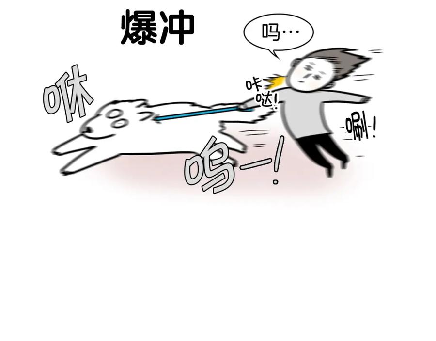 第4话训练狗狗大作战！-我的狗子叫棉花-milo+Polarfox（第8张）