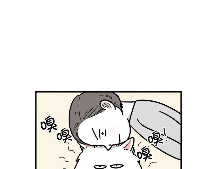 第6话洗澡澡-我的狗子叫棉花-milo+Polarfox（第7张）