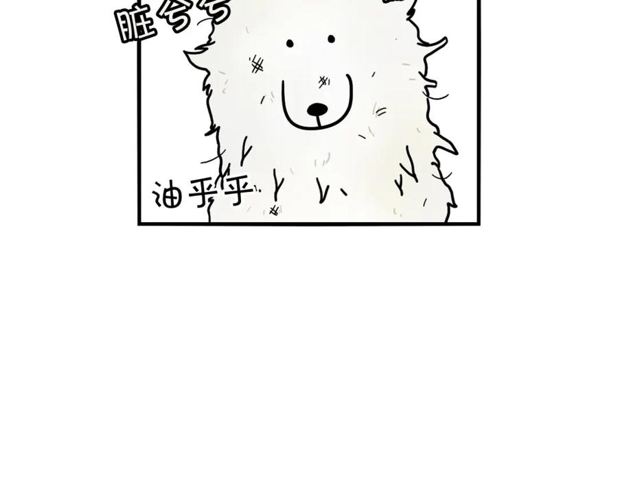 第6话洗澡澡-我的狗子叫棉花-milo+Polarfox（第9张）