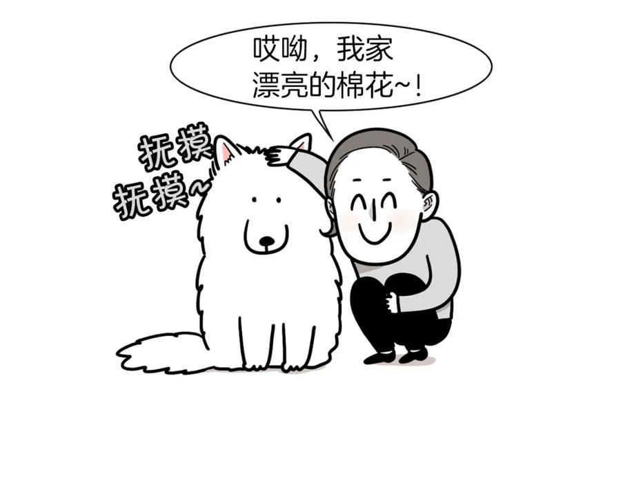 第6话洗澡澡-我的狗子叫棉花-milo+Polarfox（第5张）