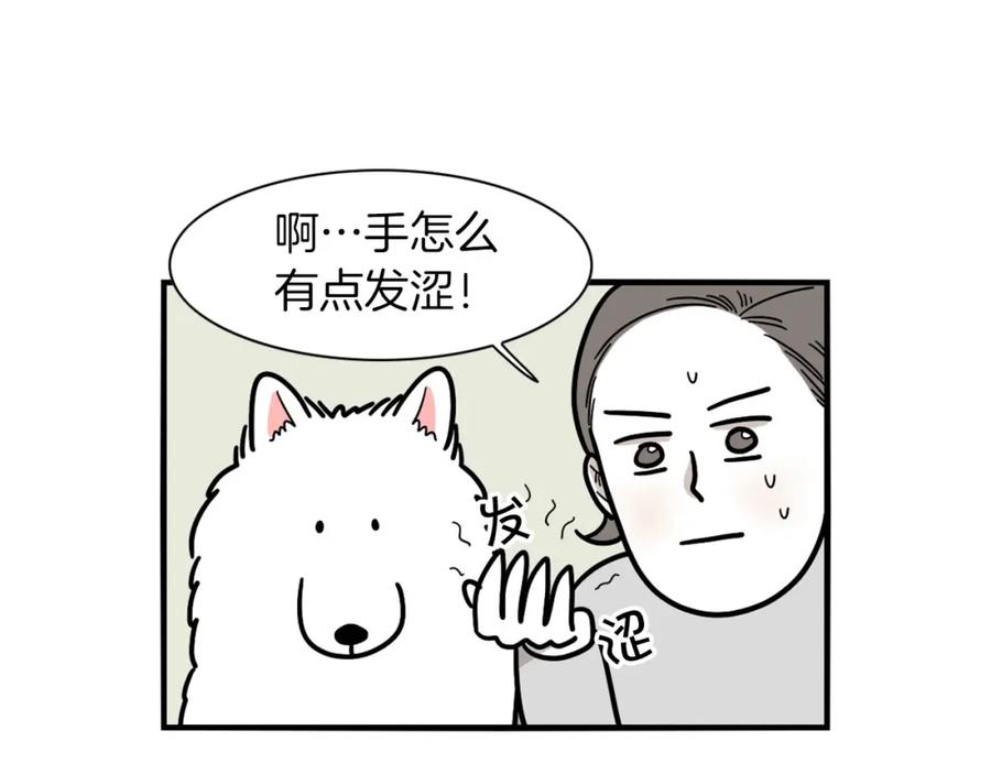 第6话洗澡澡-我的狗子叫棉花-milo+Polarfox（第6张）