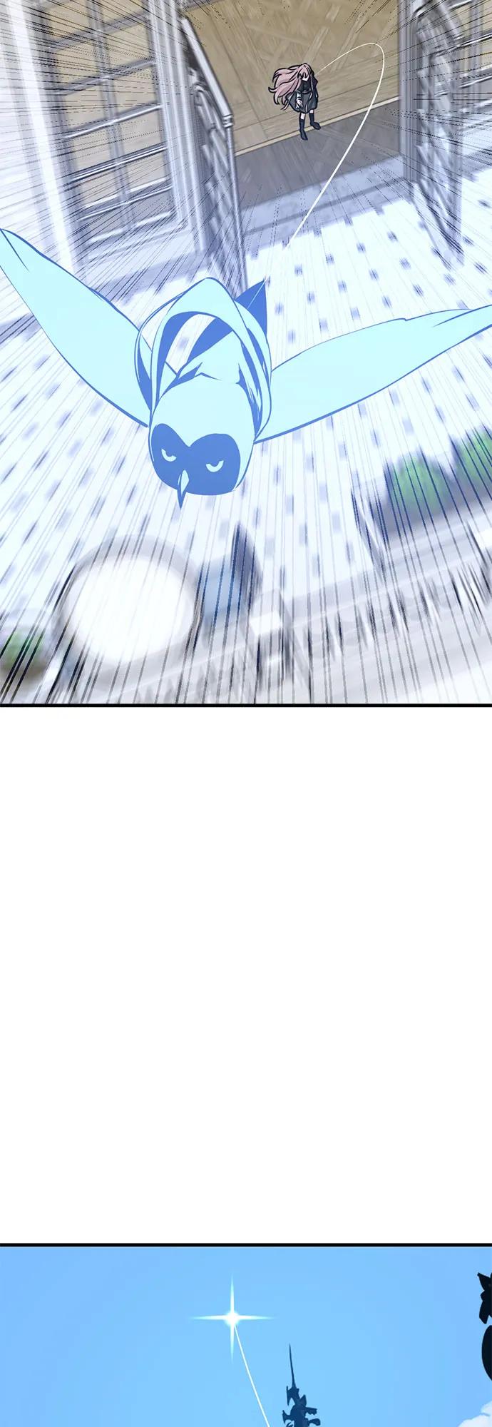 62.jpg