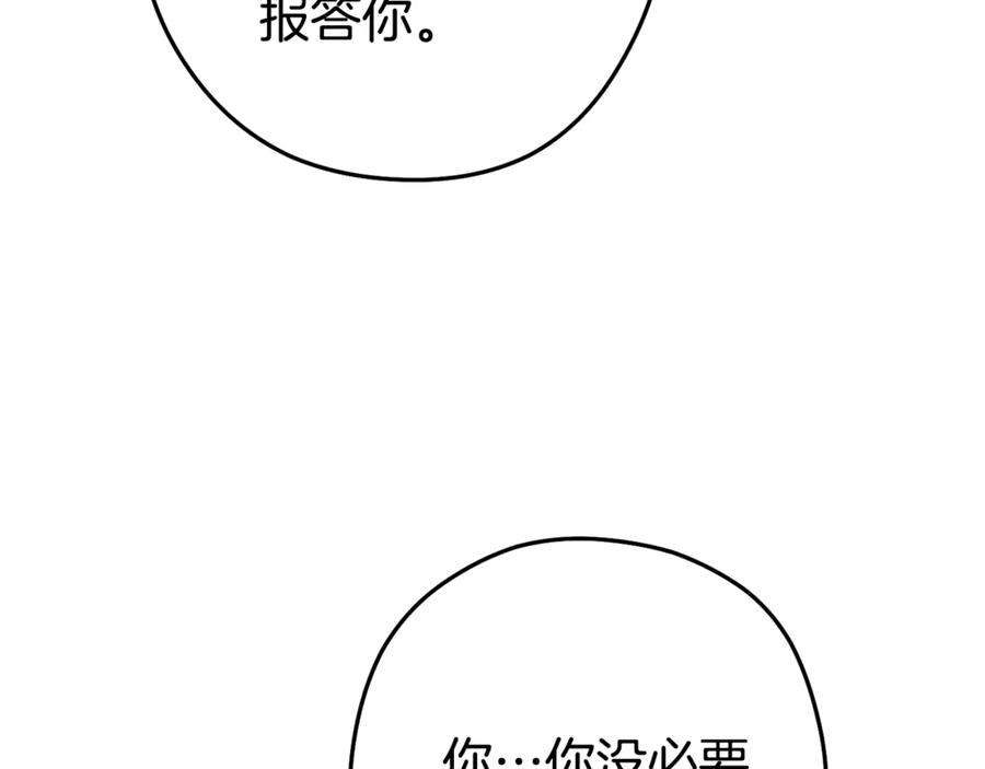 203.jpg