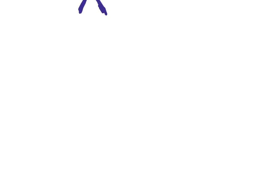 216.jpg