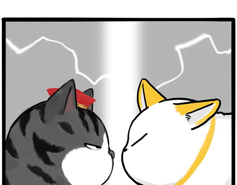 54.jpg