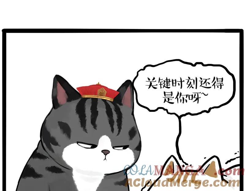 49.jpg