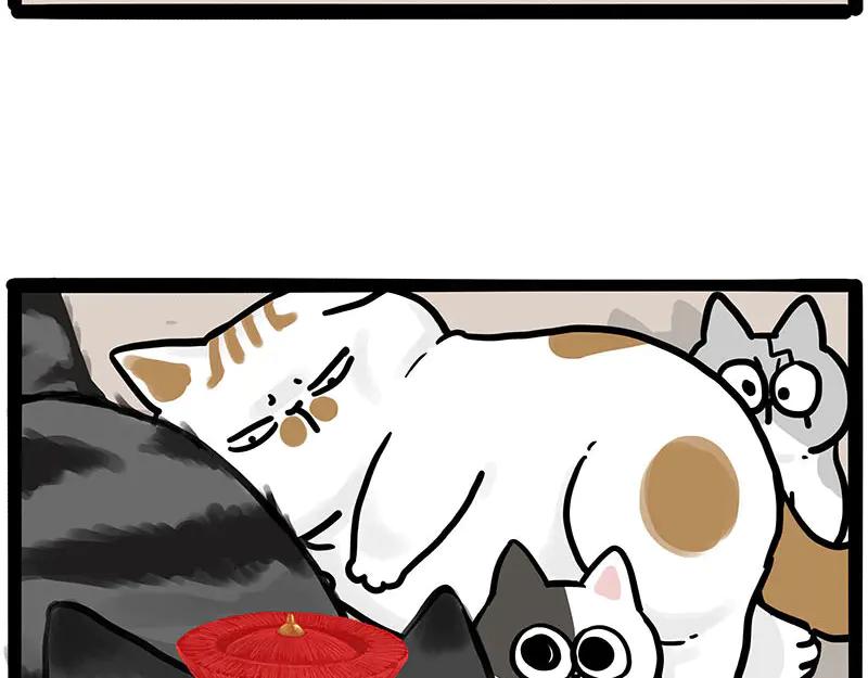 29.jpg