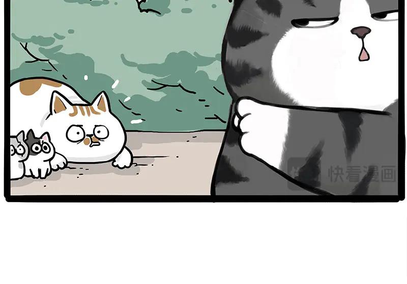 69.jpg