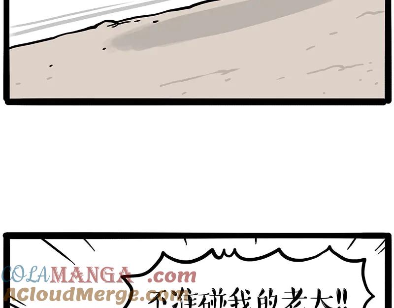 13.jpg