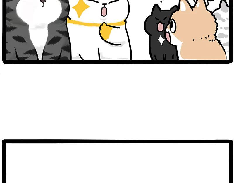 66.jpg