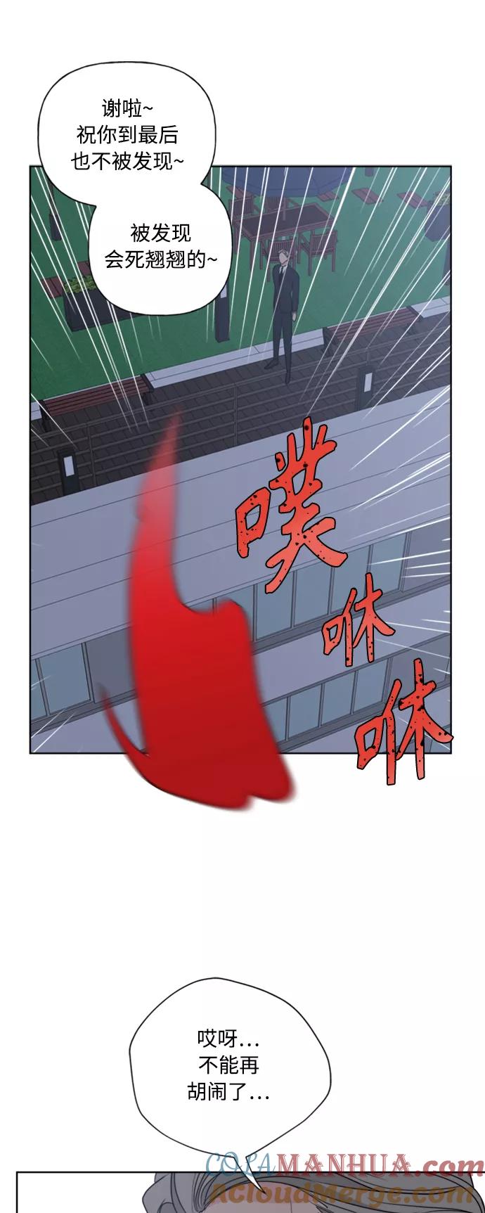 43.jpg