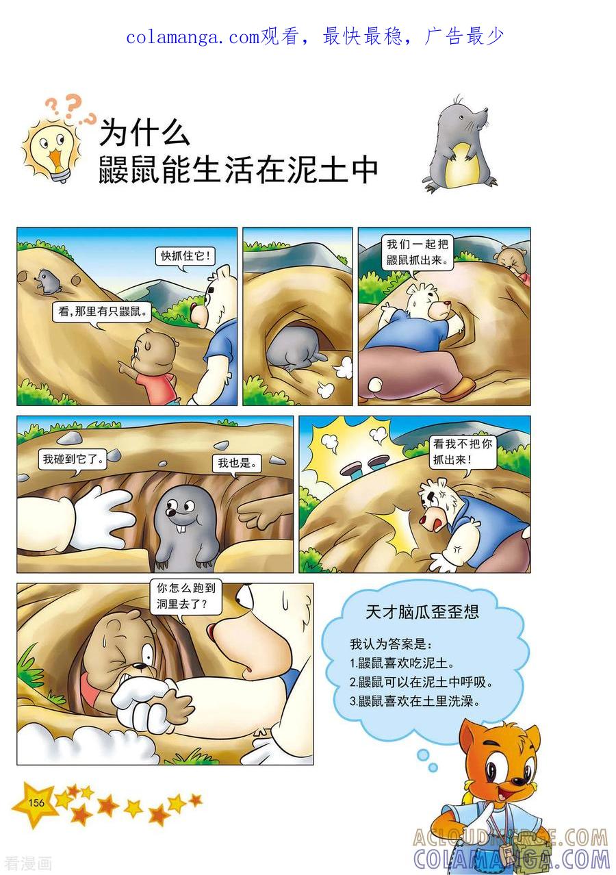 第38话-虹猫蓝兔十万个为什么-虹猫蓝兔（第1张）