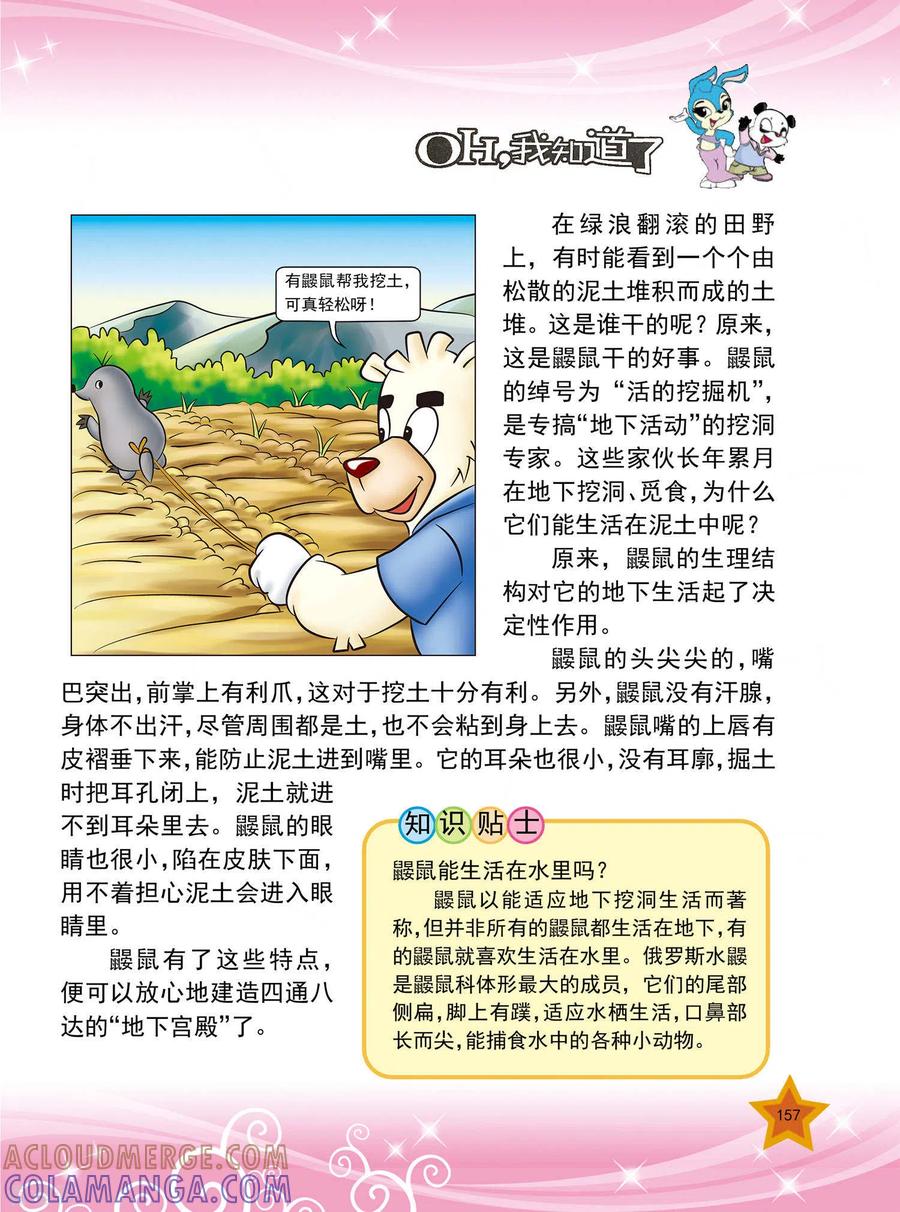 第38话-虹猫蓝兔十万个为什么-虹猫蓝兔（第2张）