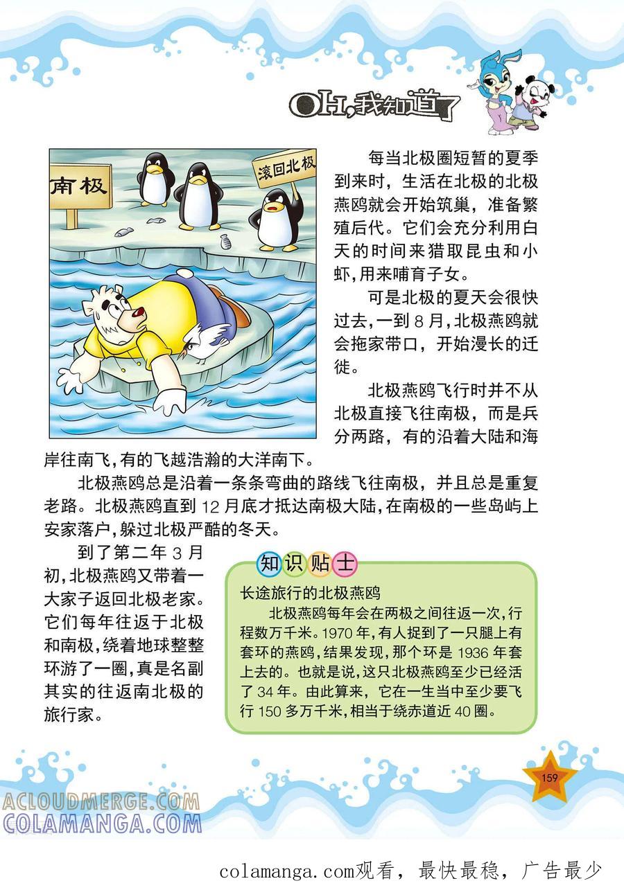 第38话-虹猫蓝兔十万个为什么-虹猫蓝兔（第4张）