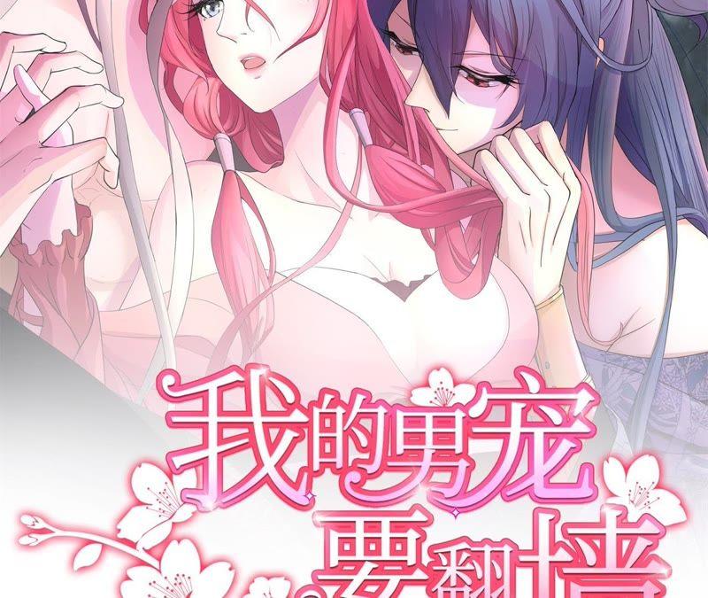 以死报恩-我的男宠要翻墙-蜜夏动漫（第2张）