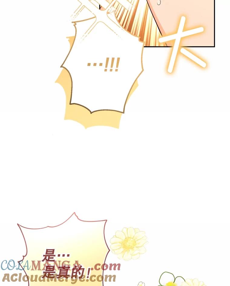 73.jpg