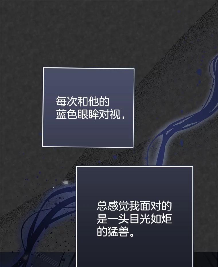 95.jpg