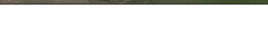 69.jpg