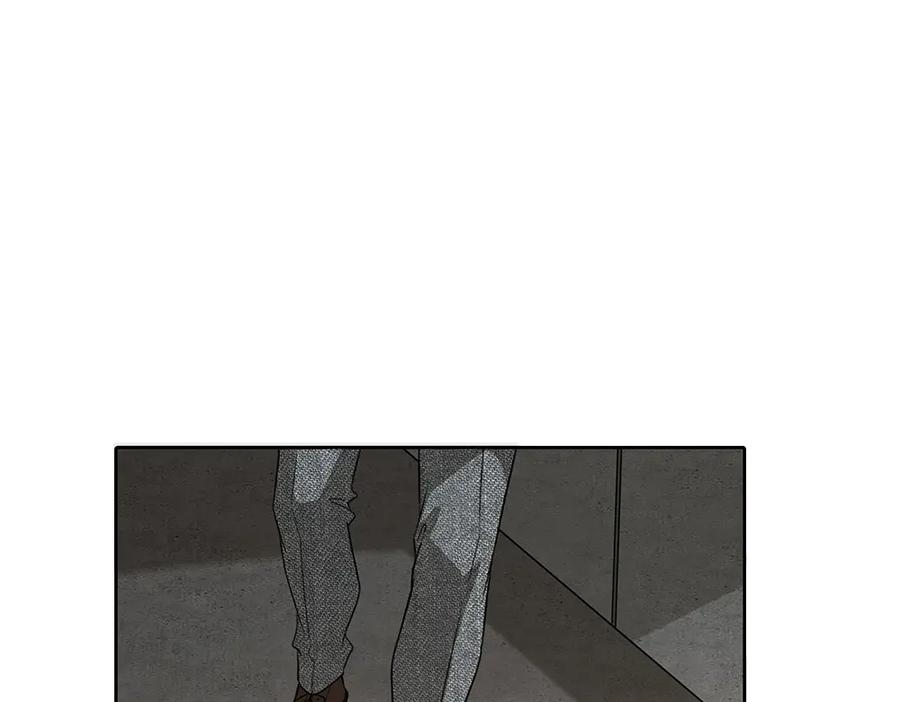 81.jpg