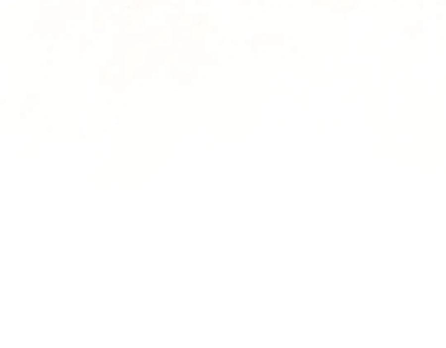 291.jpg