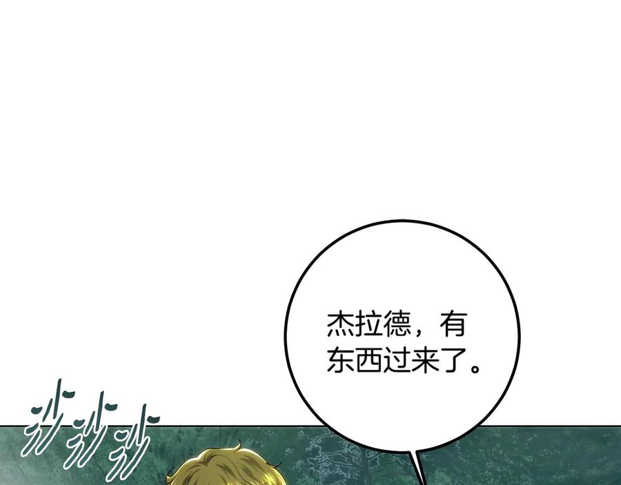 167.jpg