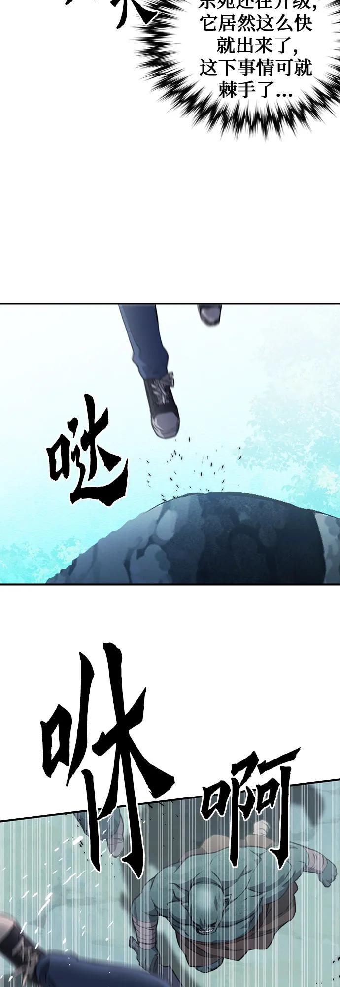 74.jpg
