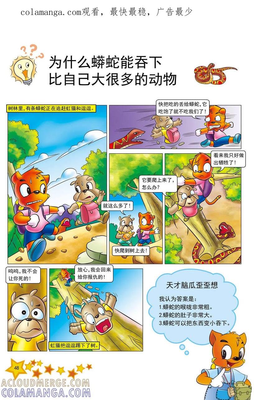 第11话-虹猫蓝兔十万个为什么-虹猫蓝兔（第1张）
