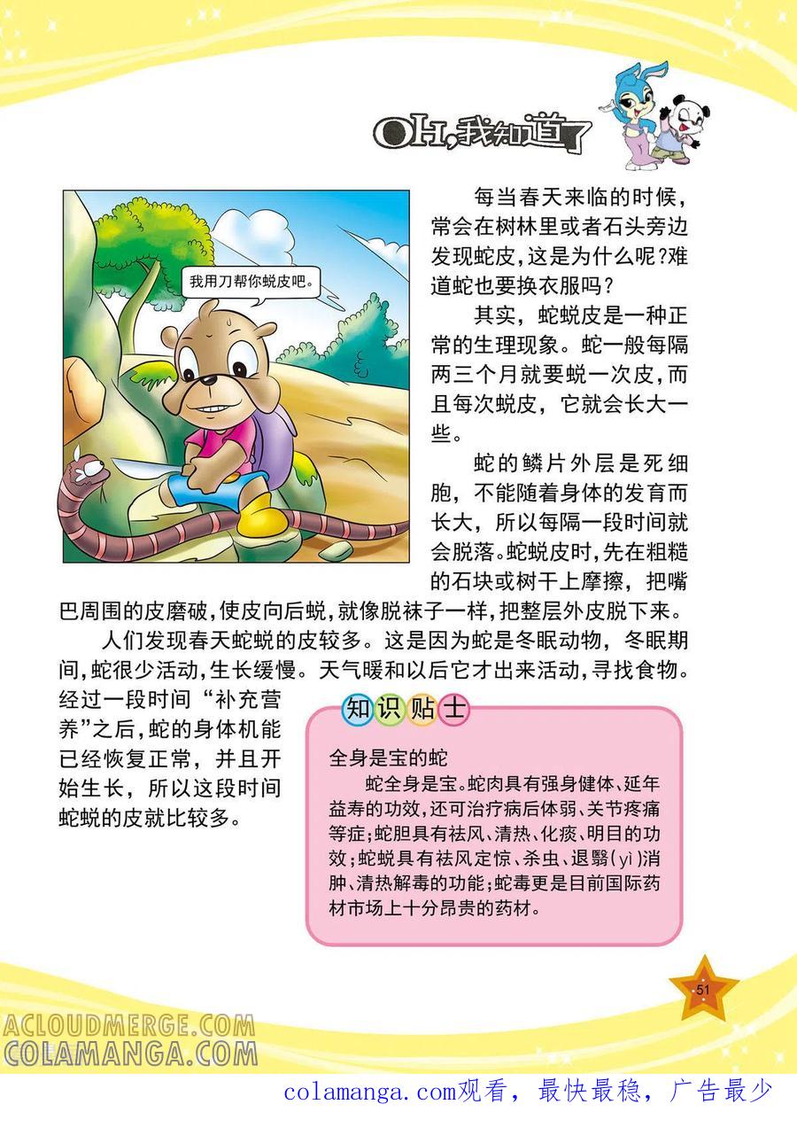 第11话-虹猫蓝兔十万个为什么-虹猫蓝兔（第4张）