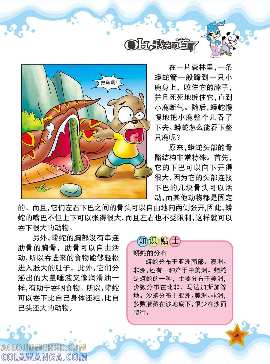 第11话-虹猫蓝兔十万个为什么-虹猫蓝兔（第2张）