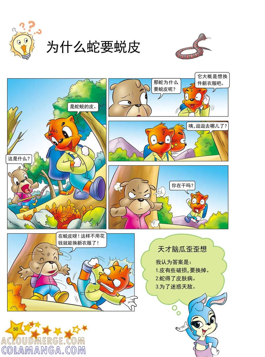 第11话-虹猫蓝兔十万个为什么-虹猫蓝兔（第3张）