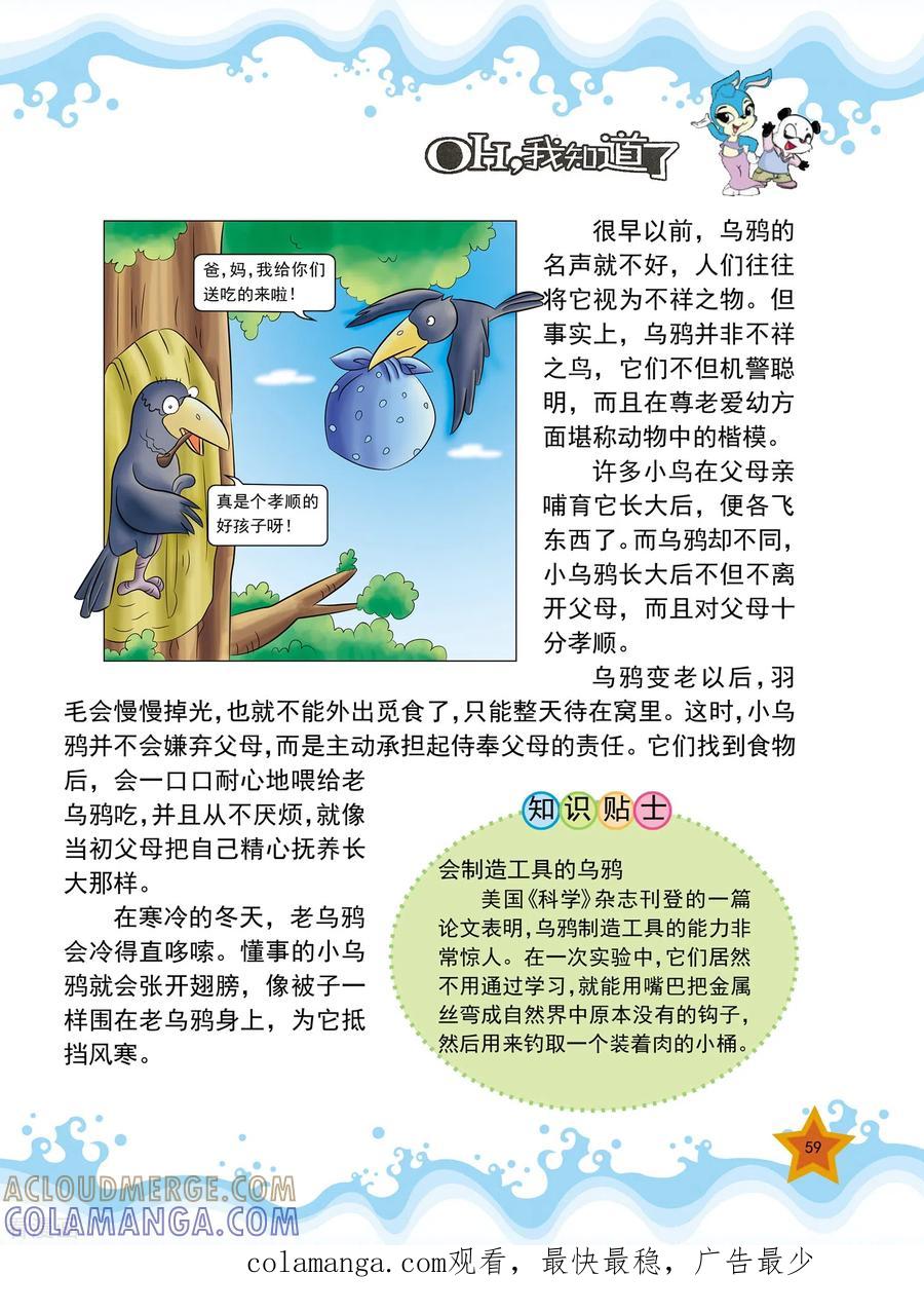 第13话-虹猫蓝兔十万个为什么-虹猫蓝兔（第4张）