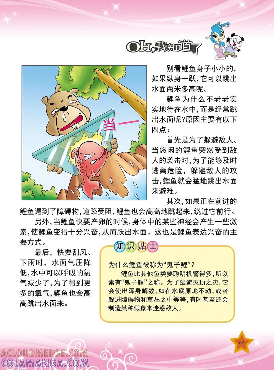 第13话-虹猫蓝兔十万个为什么-虹猫蓝兔（第2张）