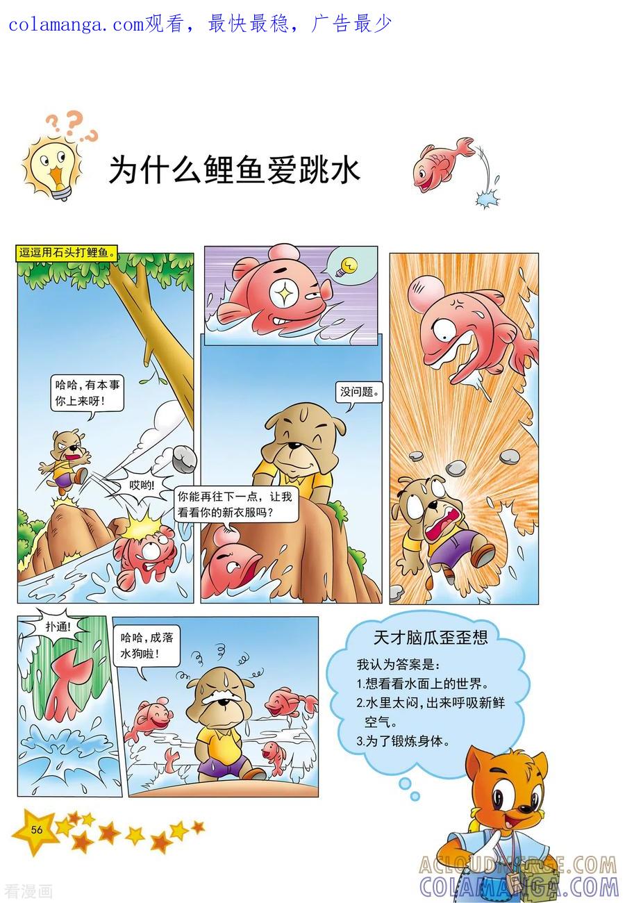 第13话-虹猫蓝兔十万个为什么-虹猫蓝兔（第1张）