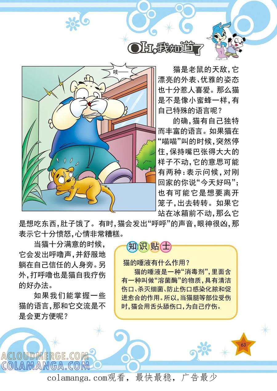第14话-虹猫蓝兔十万个为什么-虹猫蓝兔（第4张）