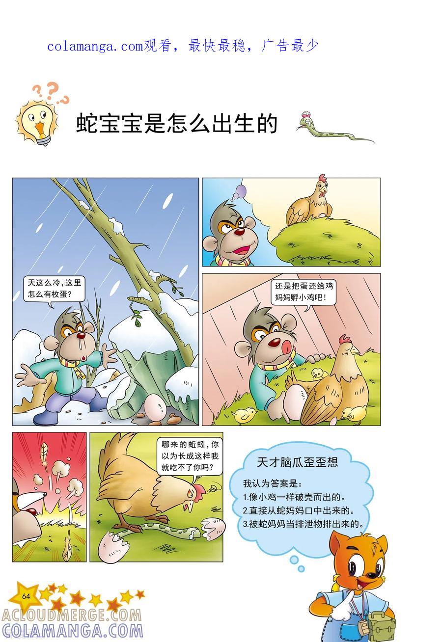 第15话-虹猫蓝兔十万个为什么-虹猫蓝兔（第1张）