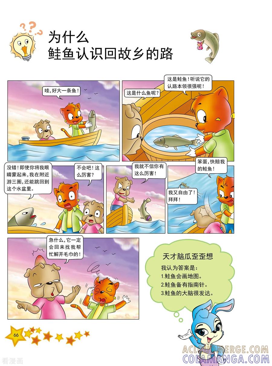 第15话-虹猫蓝兔十万个为什么-虹猫蓝兔（第3张）
