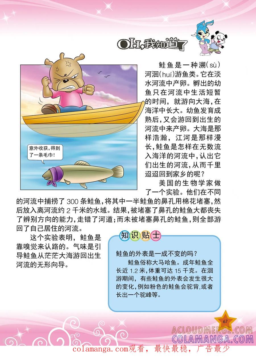 第15话-虹猫蓝兔十万个为什么-虹猫蓝兔（第4张）